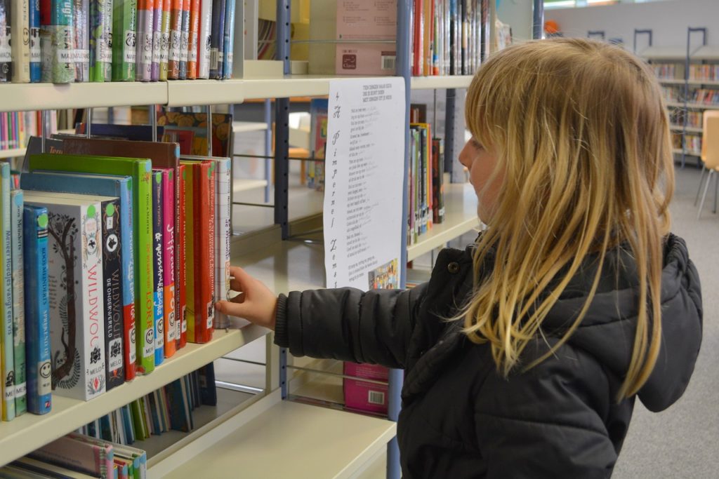 Biblioteca escolar