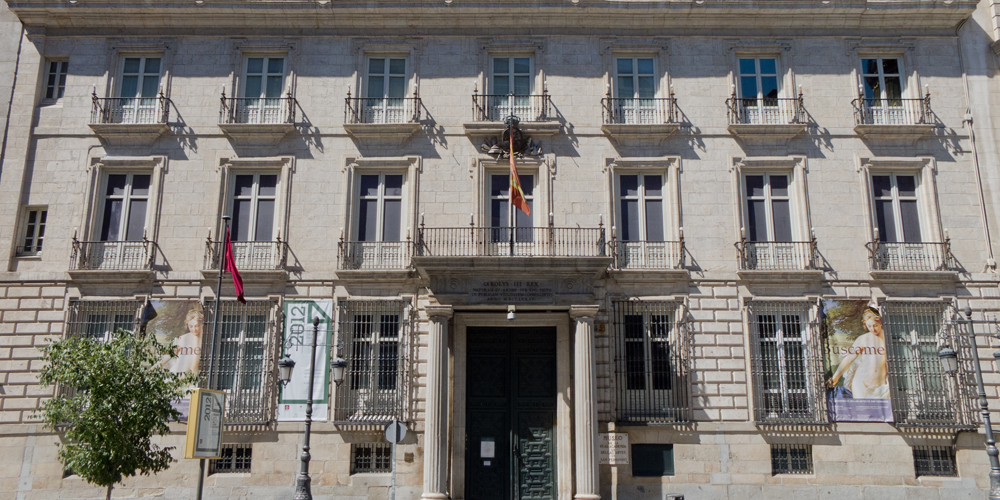 Real Academia de Bellas Artes de San Fernando. Palacio Goyeneche